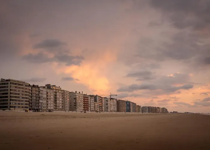Gezellig App In De Belle Epoque Wijk Appartement *